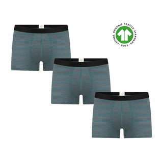 GOTS Sertifikalı Organik Pamuk Erkek Trunk Boxer İç Çamaşırı 3'lü Paket - Köknar Tabasko