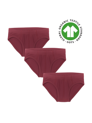 Erkek Çocuk Organik Pamuklu Slip – GOTS Sertifikalı - 3'lü Paket - Bordo