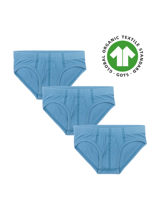 Erkek Çocuk Organik Pamuklu Slip – GOTS Sertifikalı - 3'lü Paket - Mavi